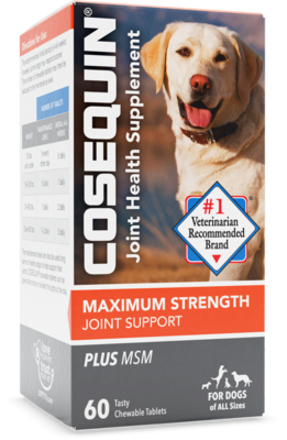 Cosequin ds maximum strength plus msm for hot sale dogs