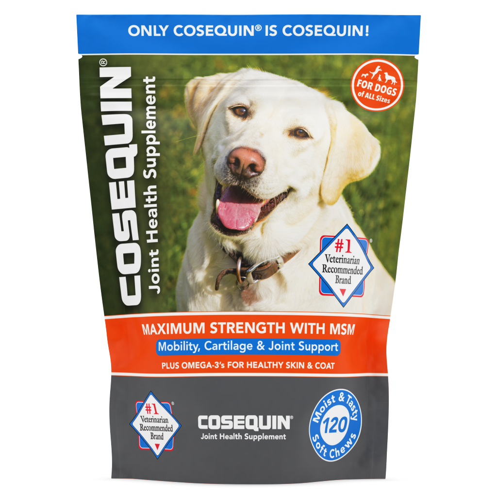 Cosequin ds plus msm best sale maximum strength chewable tablets