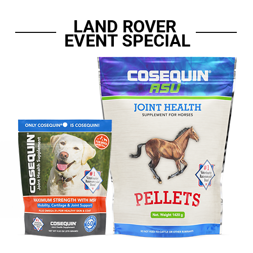 Cosequin asu for dogs best sale